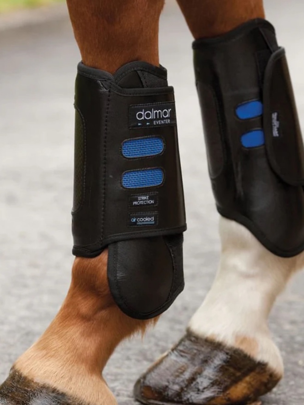 Dalmar Eventer Front & Hind boots